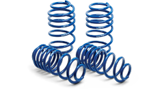 Lowering Springs