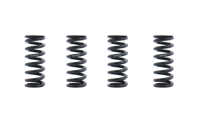 BC Racing Custom Spring rates