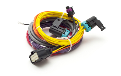 AccuAir ECU Main Harness