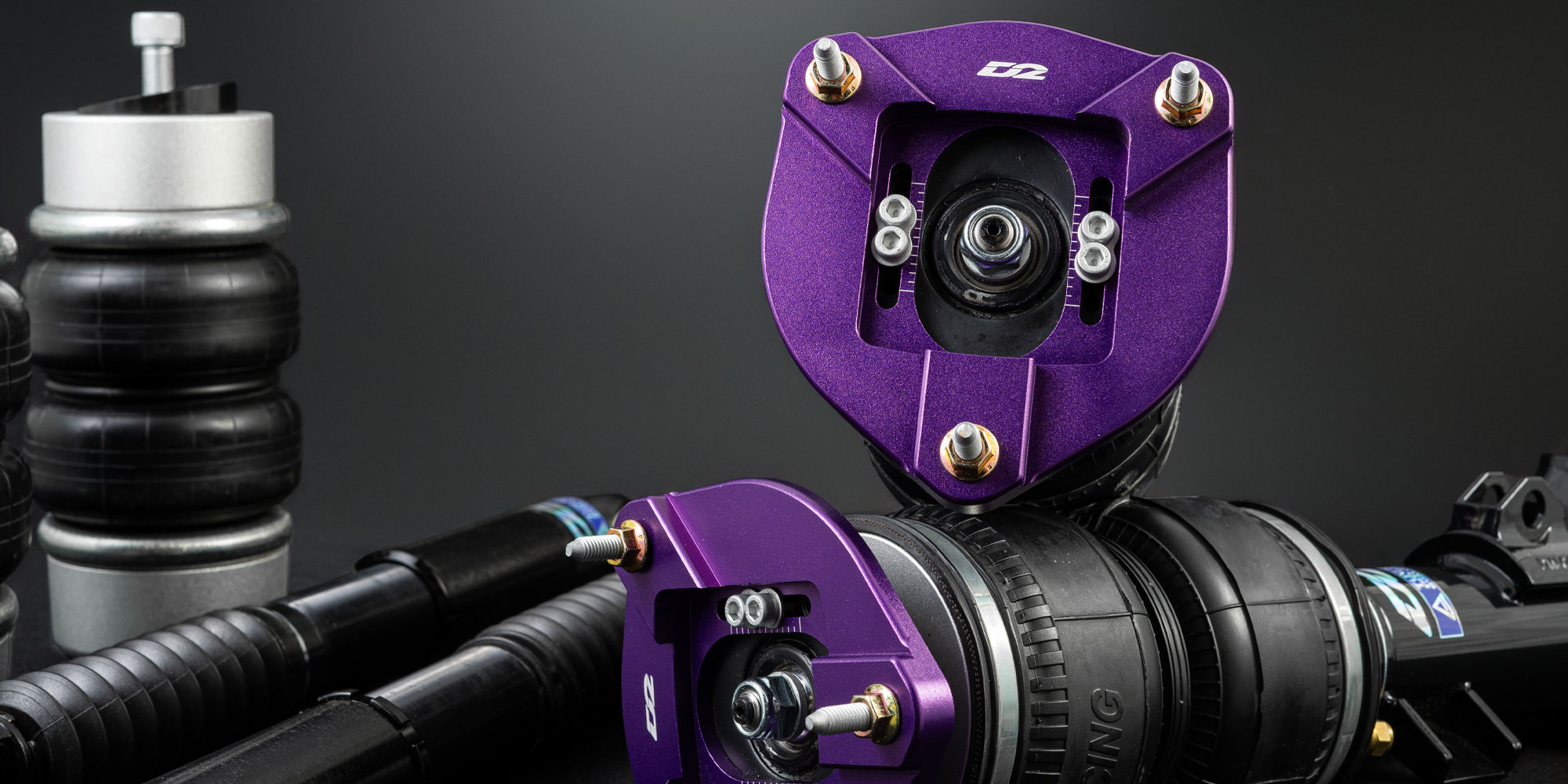 D2 Racing Coilovers with Camber Plates